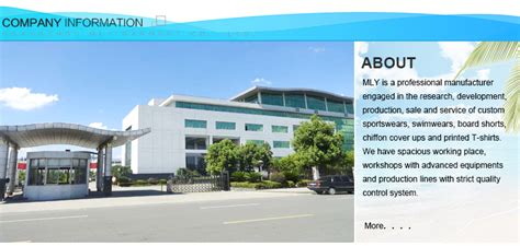 Mly Private Label Shiny Bikini Custom Sexy Ruffle Swimwear High Quality Wholesale Custom