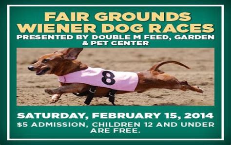 New Orleans Pet Care Today Is The Wiener Dog Races