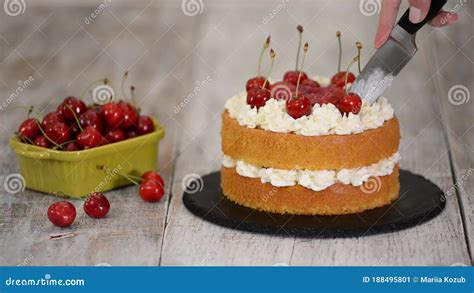 Woman Is Cutting The Naked Cherry Cake With Vanilla Cream Stock Video Video Of Freshness