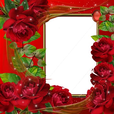 Rose Flower Frames Png