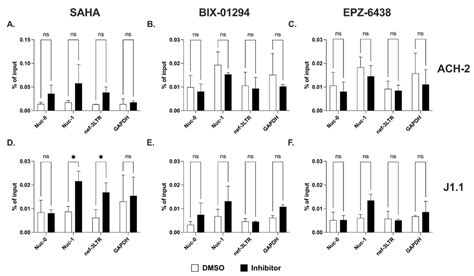 Ncrna Free Full Text Epigenetic Regulation Of Hiv Sense And