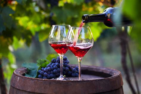 What is New Wine: A Beginner's Guide to Fresh, Fruity Wines