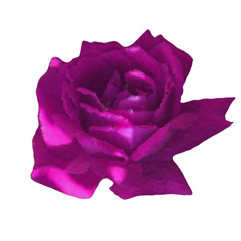 Purple Rose Petals Png