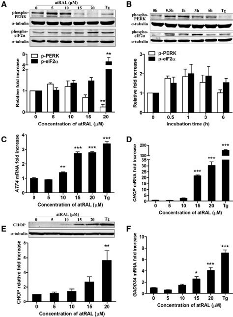 Atral Caused Er Stress And The Activation Of The Perk Eif A Atf