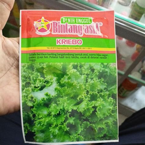 Jual Selada Kriebo Shopee Indonesia