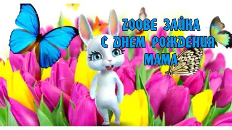 Zoobe Зайка - С днем рождения, Мама! - YouTube