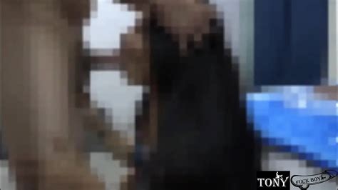 Mamada Y Follada Por El Culo XVIDEOS