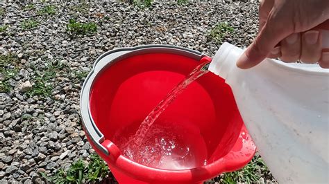 Lazy And Effective Ways To Kill Weeds On Gravel Driveways Without