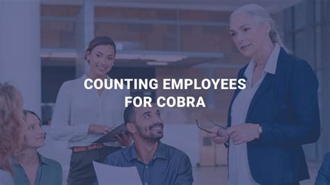 Grupo Cobra Financial Overview Employee Count And Competitors