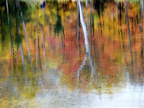 Fall Tree Reflection Stanley Zimny Thank You For Million Views