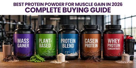 Style Guide For Muscle Gain 2026 Edition