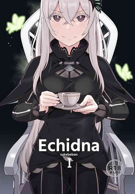 Echidna Sukebebon I Nhentai Hentai Doujinshi And Manga