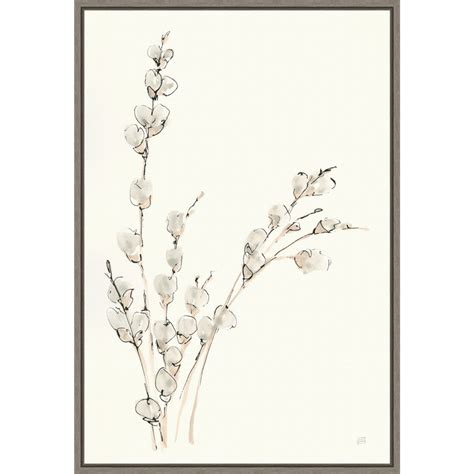 Pussy Willows V By Chris Paschke In W X In H Canvas Wall Art Print Framed In Grey