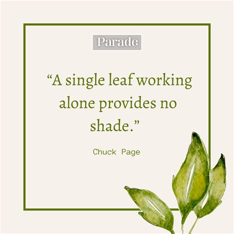 75 Motivational Teamwork Quotes To Inspire Collaboration Parade