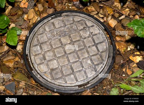 What Is A Meter Pit At Norma Shanks Blog