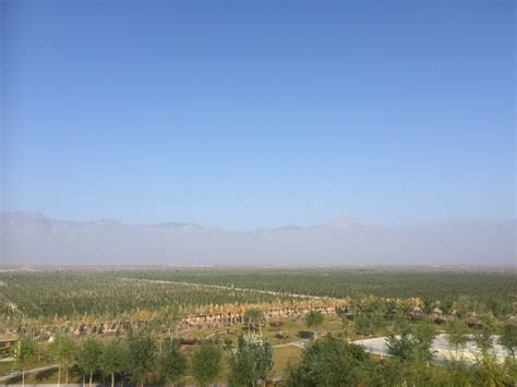 Ningxia Wine Region Weve Got Your Back Says The Government