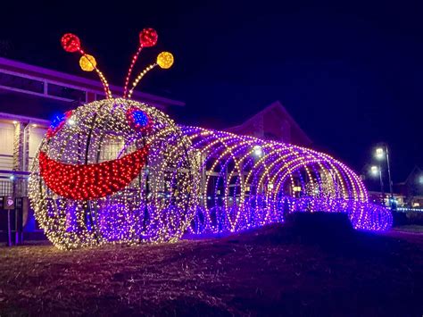 Gatlinburg & Pigeon Forge Area Advice From Locals! | Have YOU🫵 been to