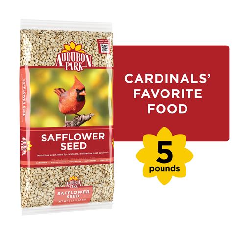 Audubon Park Safflower Seed Wild Bird Food Dry 5 Lb Bag