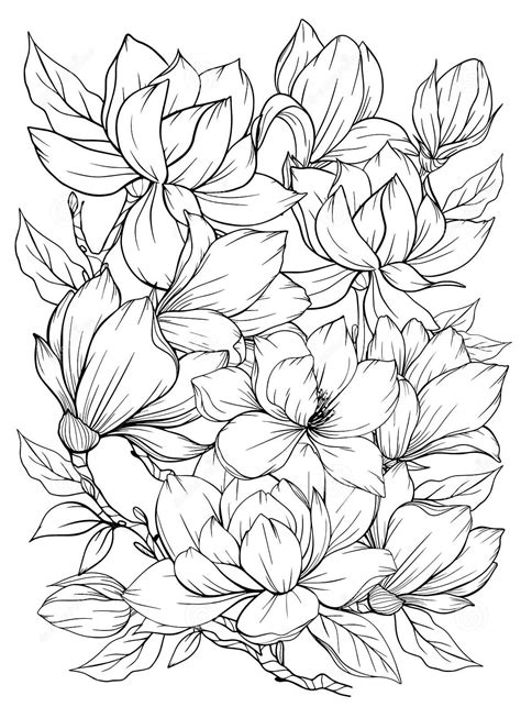 Раскраски Магнолия - 66 фото