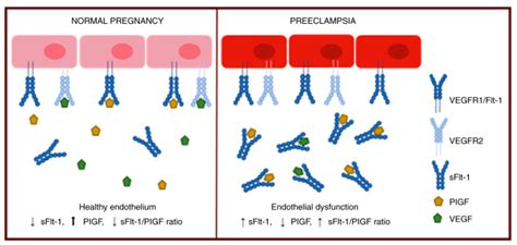 BioMed Free Full Text Review Of Laboratory Testing And Biomarker