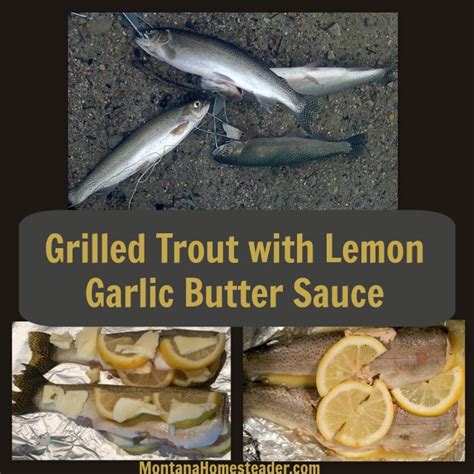 Grilled Trout with Lemon Garlic Butter Sauce – Montana Homesteader