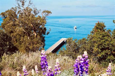 The Ultimate Guide to Visiting California's National Parks