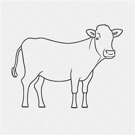 premium vector  vector illustration  art