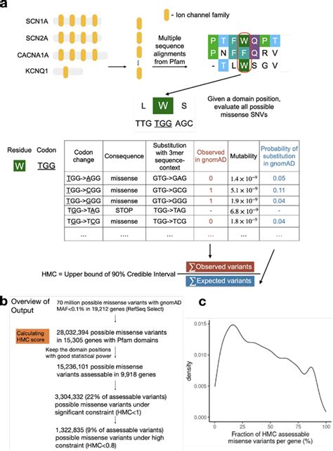 introducing homologous missense constraint hmc  prioritise missense