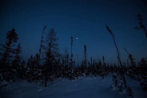 Visit Torrance Barrens Dark Sky Preserve In Muskoka Lakes Expedia