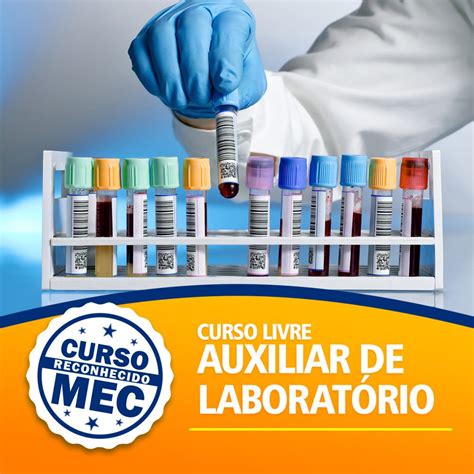 Instituto Plenus – Cursos Técnicos e Capacitação – O Instituto Plenus é ...