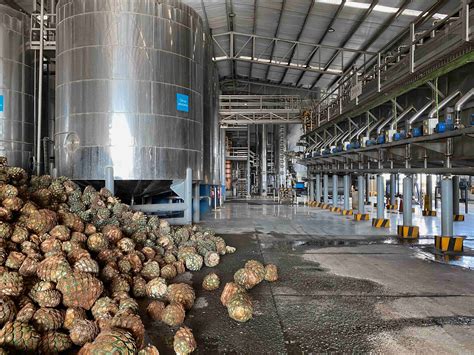 Proyectos Llave En Mano Industrial