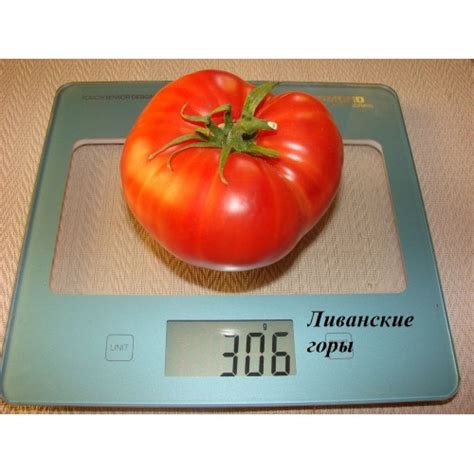 Ливанские горы