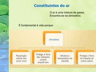 Por Que O Ar É Importante - A importância do ar para os seres vivos. | PPTX