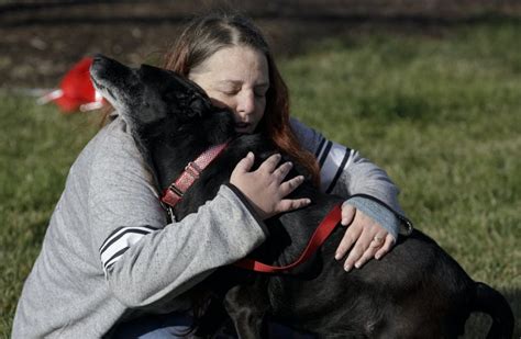 Dog Reunited With Owners After Going Missing For Over Three Years