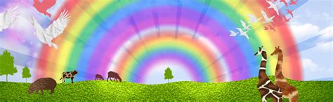 genesis   rainbow  noahs covenant israel media ministries