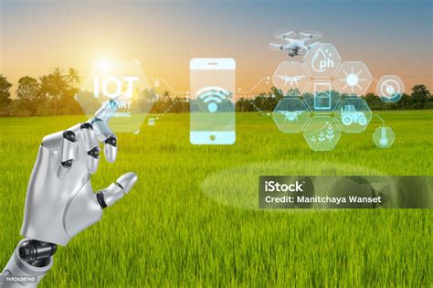 Infografis Iot Petani Pintar Sawah Pertanian Cerdas Dengan Iot Menanam ... 