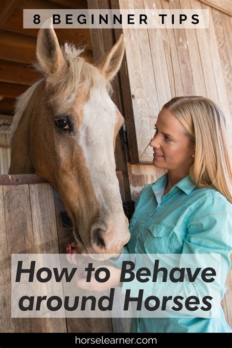 8 Tips For How To Behave Around Horses Horse Learner In 2024 Horse