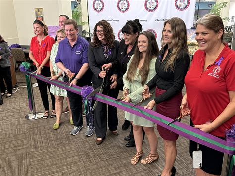 Pasco Clerk Of Court Unlocking The Secrets Of Floridas Justice System
