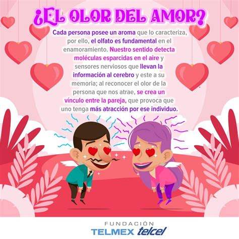 Fund Telmex Telcel On Twitter Aunque No Lo Creas Nuestro Olfato