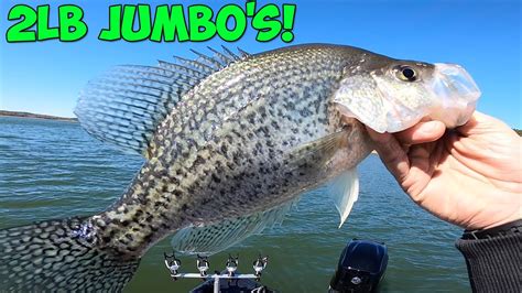 Chasing Suspended Crappie In 50 Feet Of Water CRAZY OUTCOME 1st Day