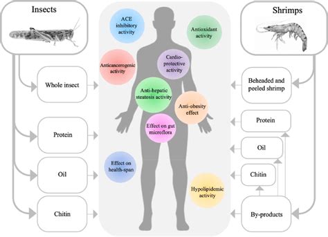 Ways Of Insect And Shrimp Consumptions And Their Potential Health Benefits Download