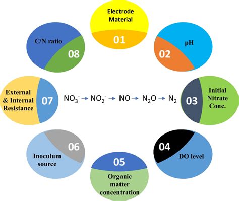 schematic representation   factors affecting  denitrification