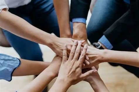 Pengertian Integrasi Fungsional Dan Contohnya Sonoraid