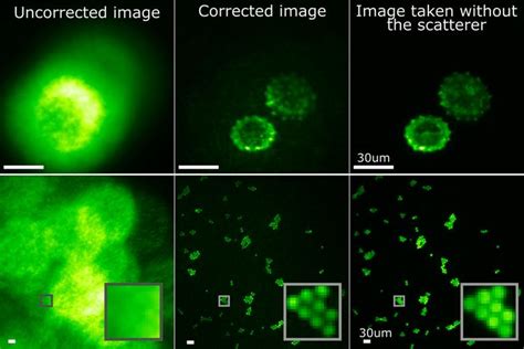 megapixel fluorescence microscopy  sca eurekalert