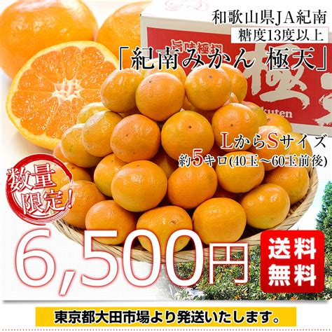 和歌山県 Ja紀南 糖度13度以上 紀南みかん「極天」約5キロ Lからsサイズ40玉から60玉前後 送料無料 蜜柑 ミカン 柑橘 高糖度