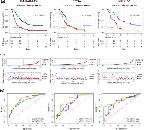 Evaluation And Validation Of The Ers Related Prognostic Signature In