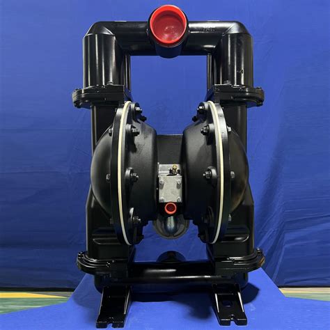 3 Inch Wa Cast Iron Diaphragm Pump