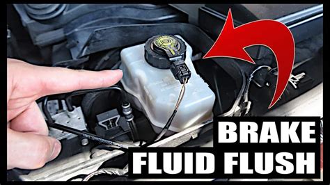 Brake Fluid Flushing Important Facts Albion Auto Service