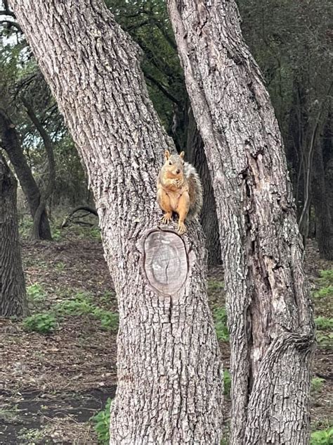 Just Enjoying The Weather And A West Frio River Ranch Facebook