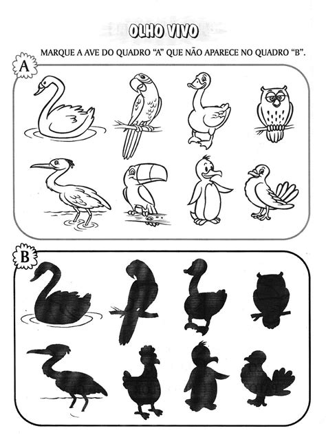 Exercicios Aves - ANIMAIS - AVES - PÁSSAROS - ATIVIDADES EXERCÍCIOS DESENHOS COLORIR ...